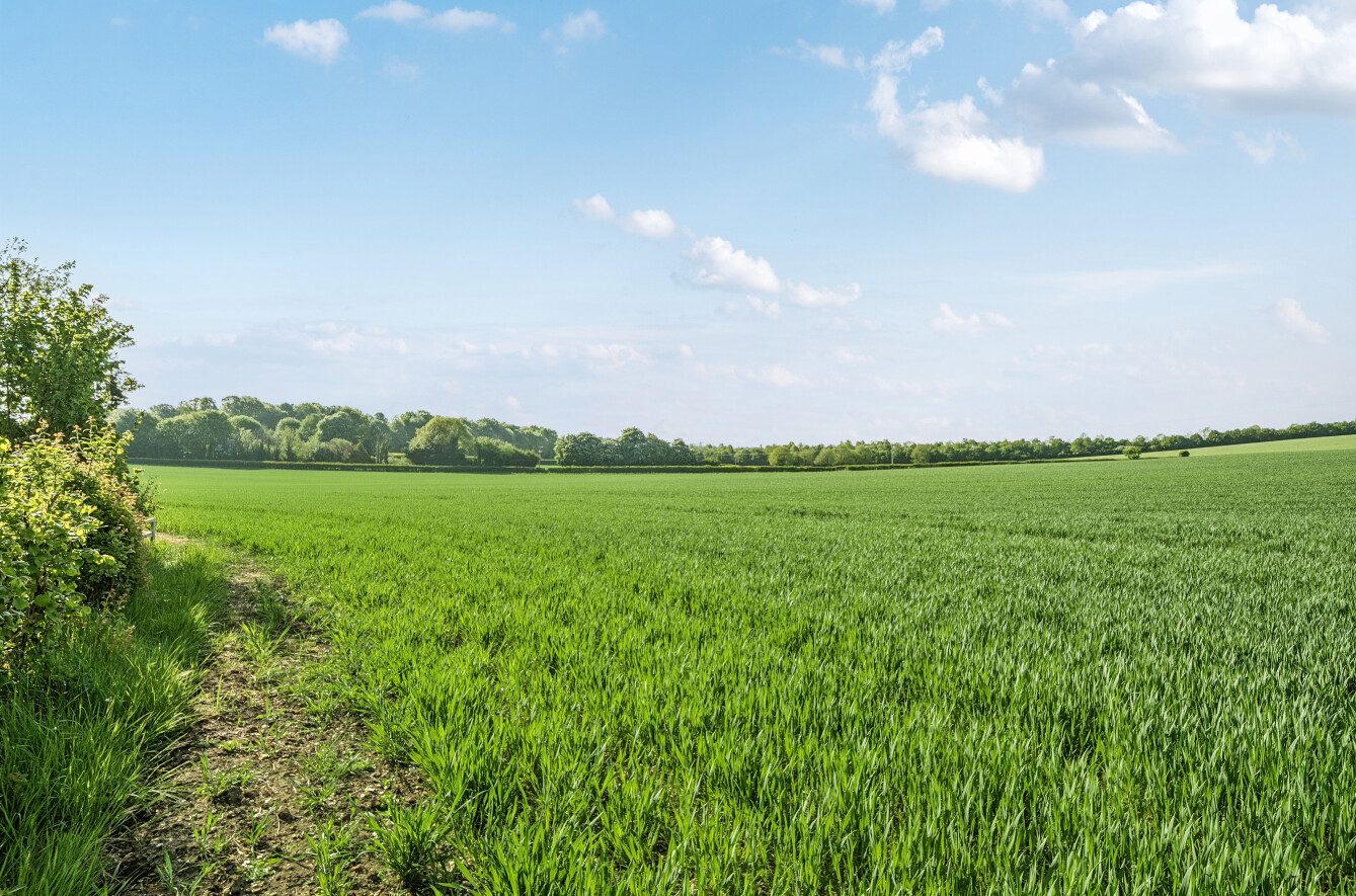 Bishops Sutton Road, Bishops Sutton, Alresford, SO24