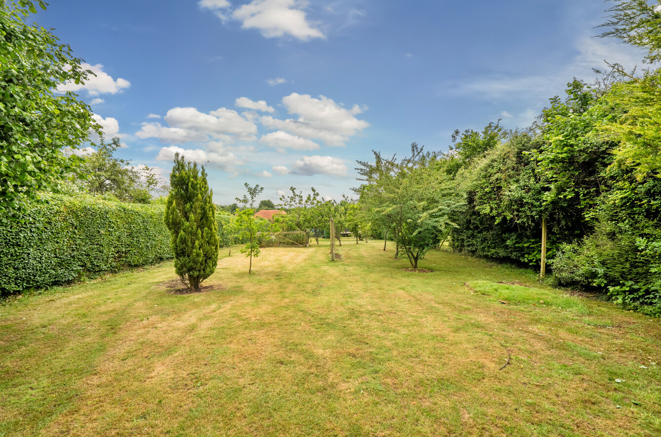 Gascoigne Lane, Ropley, Alresford, Hampshire, SO24