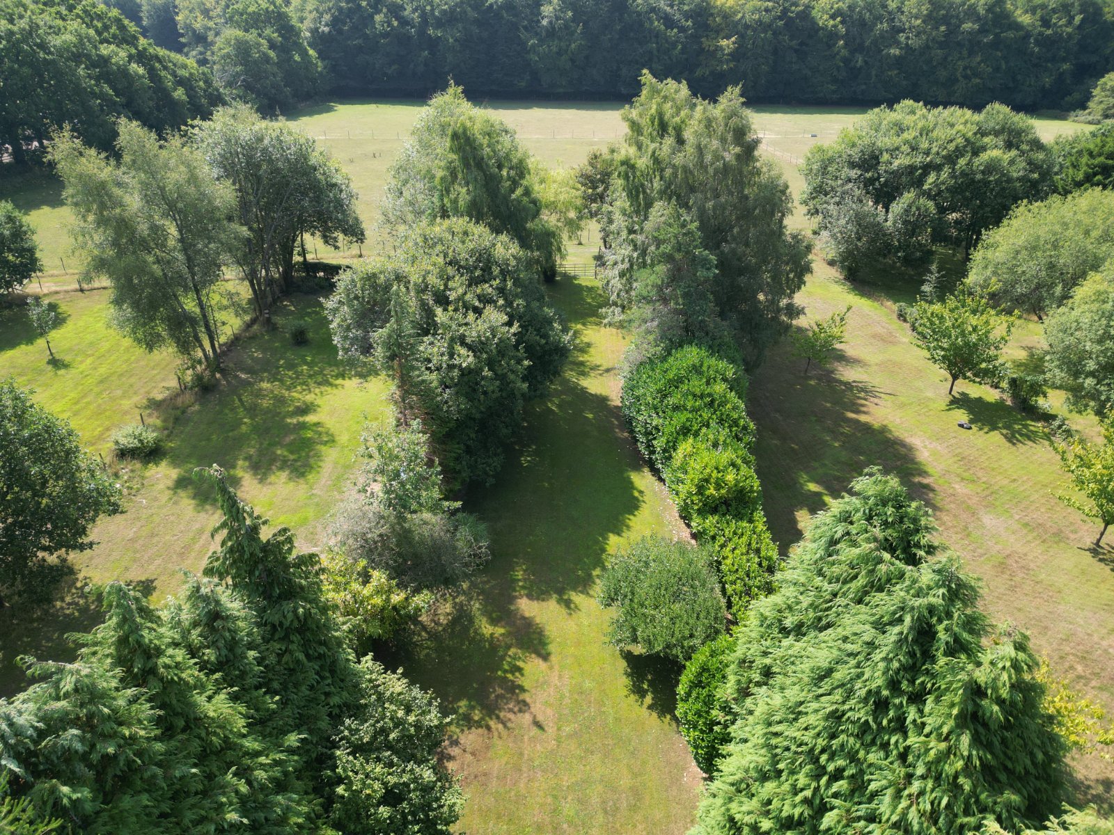 Abbey Road, Medstead, Alton, Hampshire, GU34 - Charters