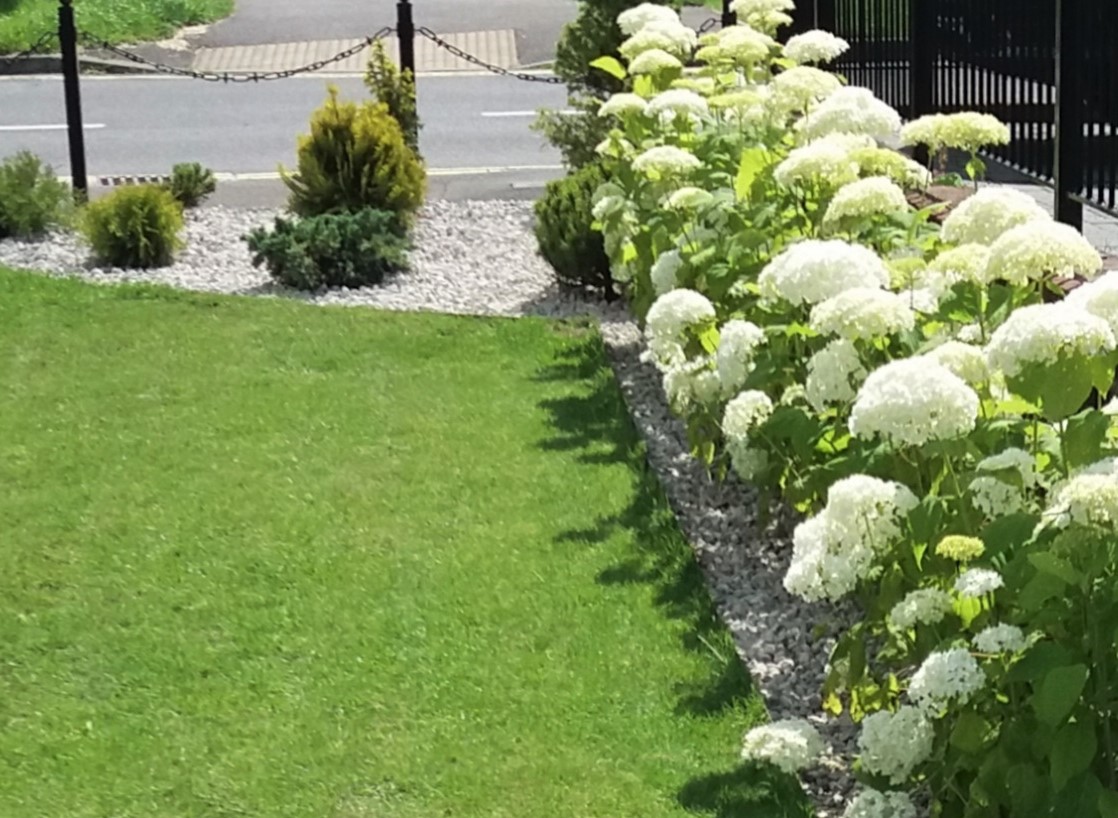 London Road - GOLD, Cowplain, Waterlooville, Hampshire, PO8 - Charters