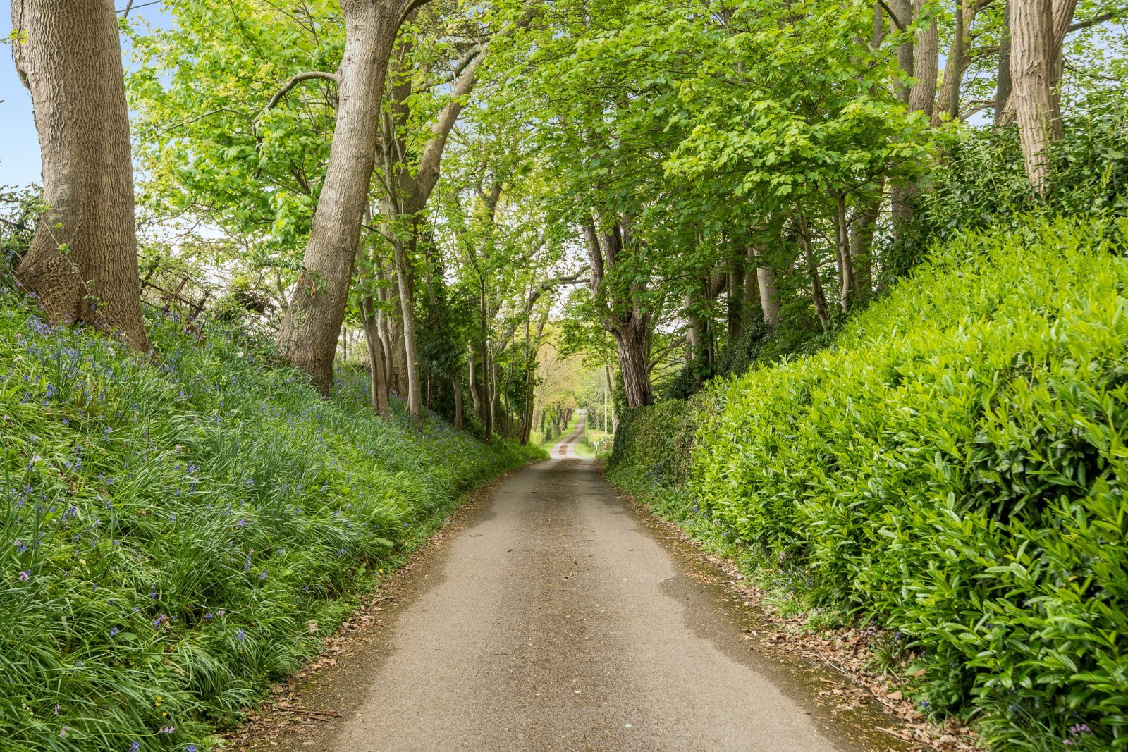 Quob Lane, West End, Southampton, Hampshire, SO30