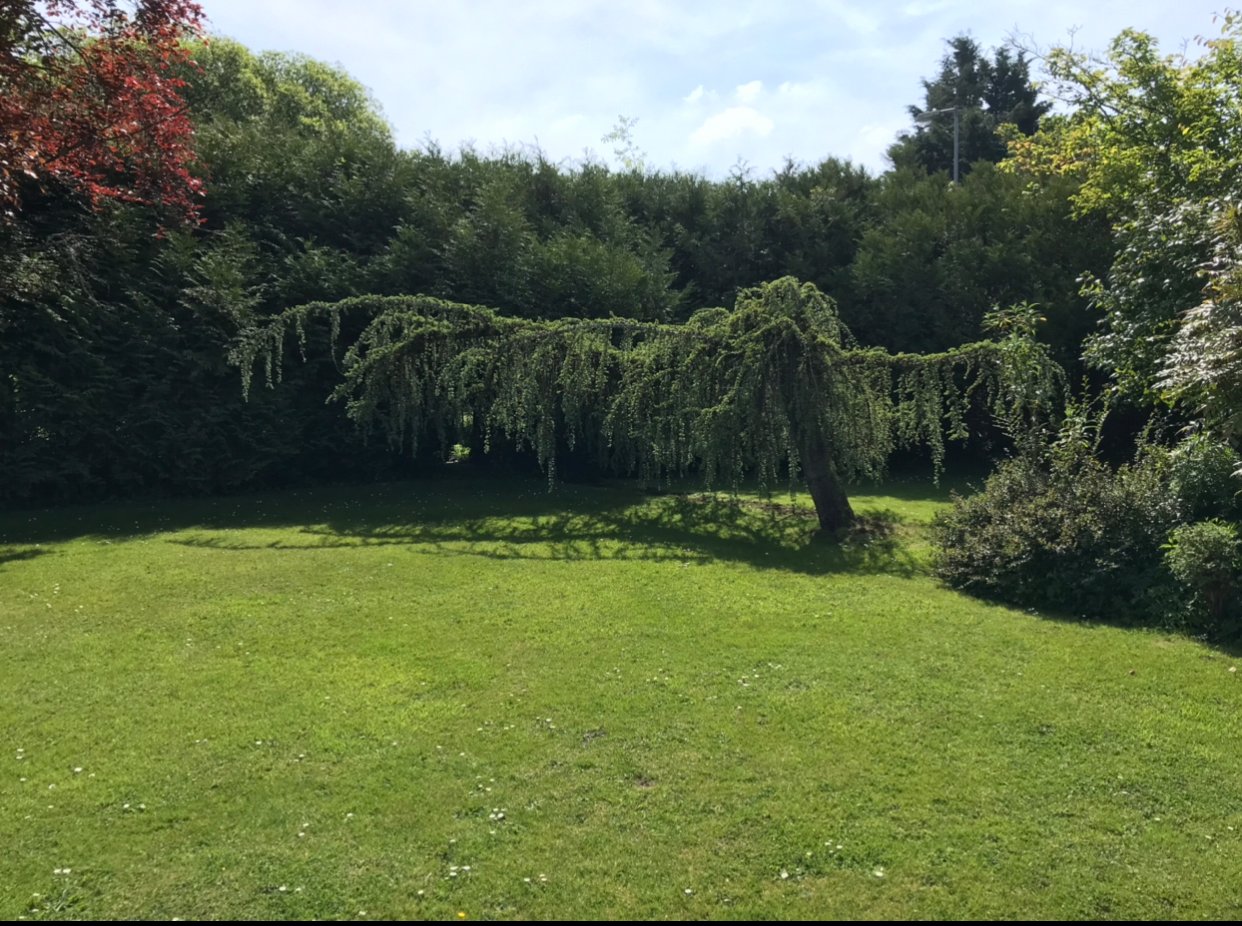 Salisbury Road, Plaitford, Romsey, Hampshire, SO51 - Charters