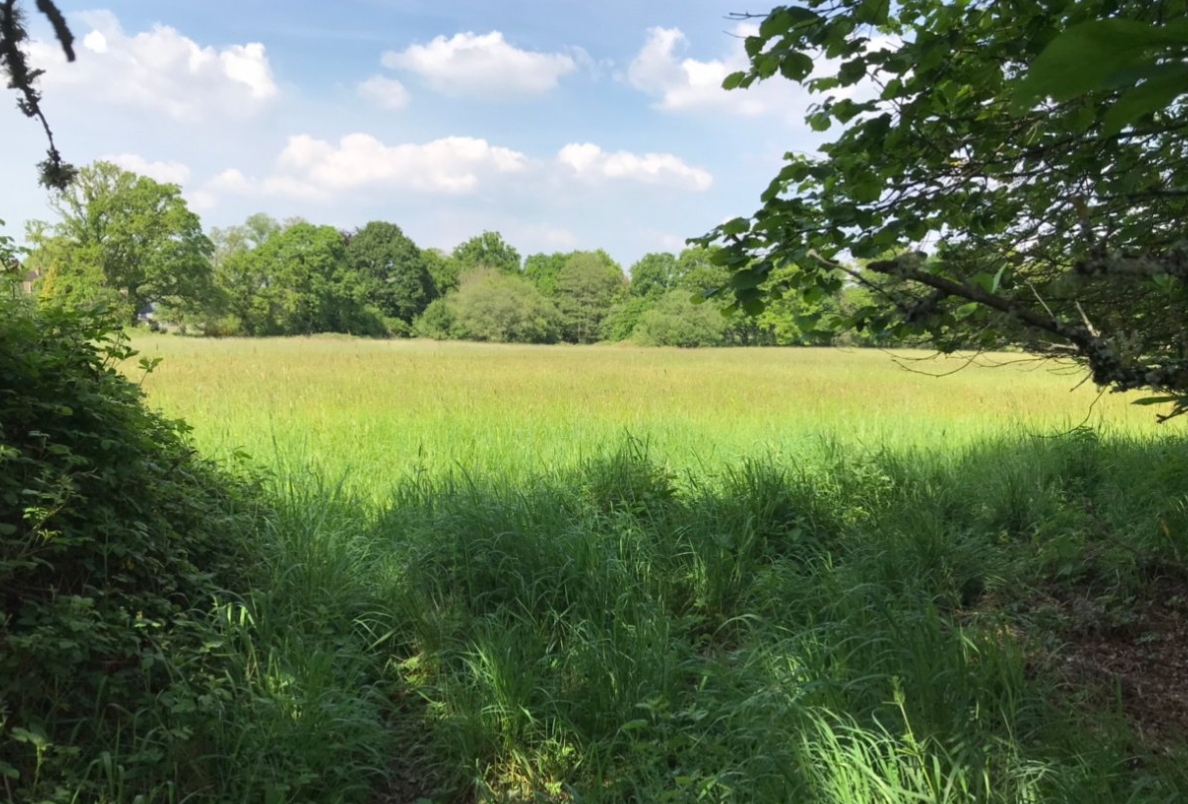Salisbury Road, Plaitford, Romsey, Hampshire, SO51 - Charters