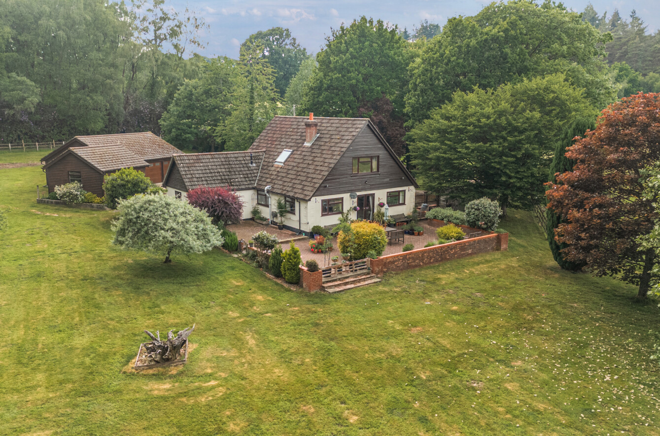 Landford Wood, Salisbury, Wiltshire, SP5