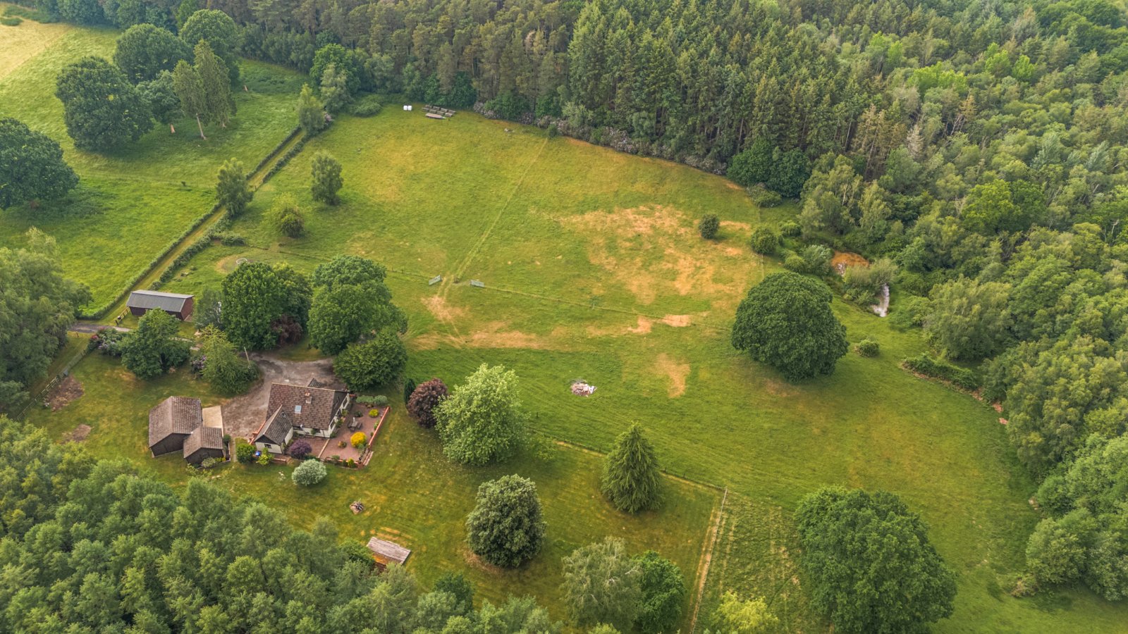 Landford Wood, Salisbury, Wiltshire, SP5
