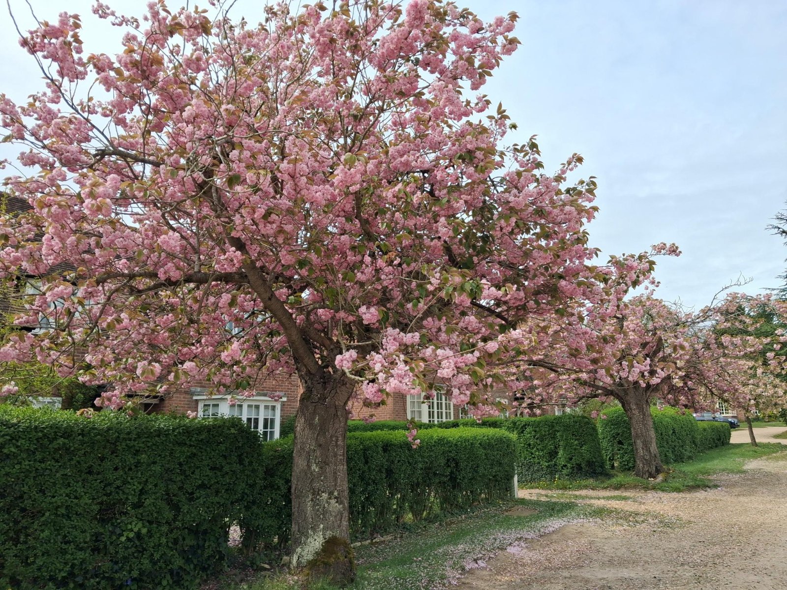 Ethelburt Avenue, Bassett Green, Southampton, Hampshire, SO16 - Charters