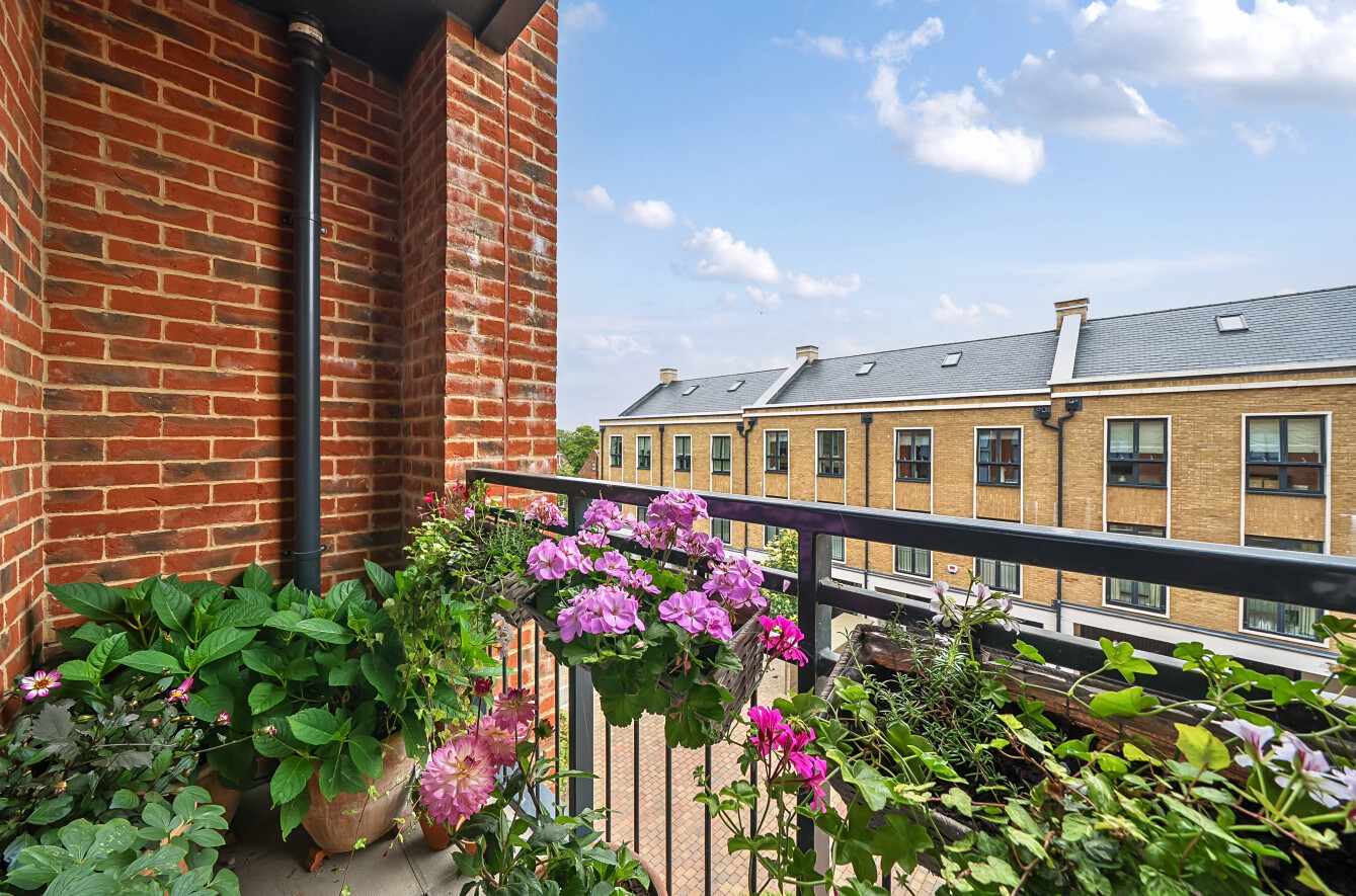 Fellowes Rise, Winchester, Hampshire, SO22