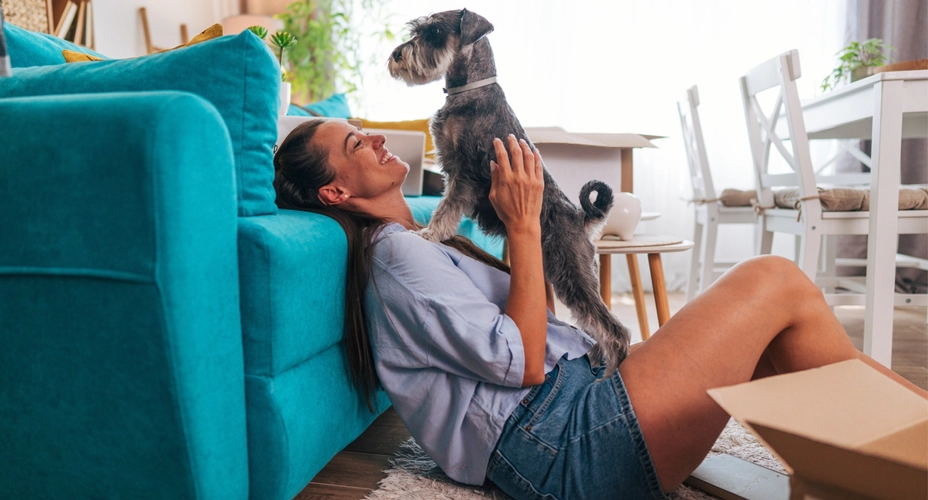 The right to request pets under the Renters’ Rights Act - Charters