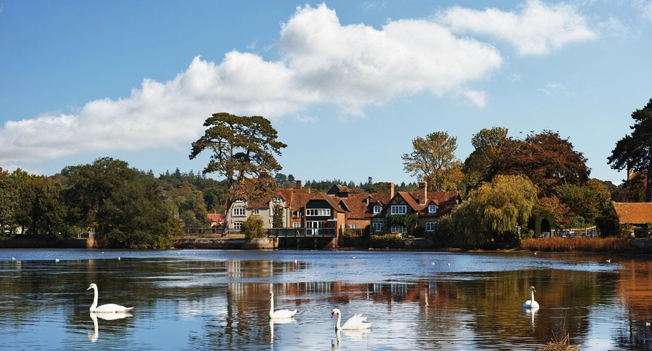 Charters Quarterly Insights Winter 2025/26  - Charters